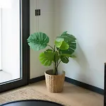 Playa Canteras Con Gimnasio A2d 公寓 大加那利岛拉斯帕尔马斯