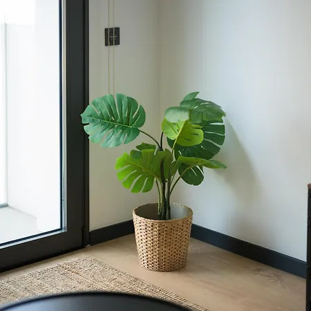 Residencial Ayraga 2d - By Singular Holidays Appartement Las Palmas