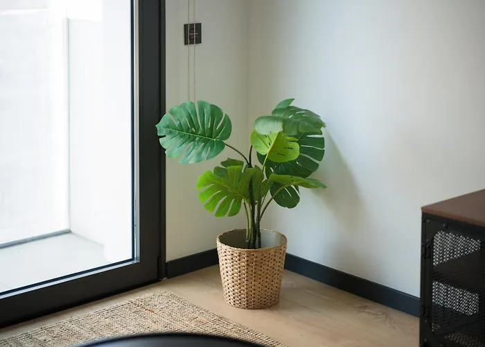 Playa Canteras Con Gimnasio A2d Apartament Las Palmas de Gran Canaria